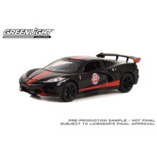 Greenlight Running On Empty Series 15 - 2022 Chevrolet Corvette C8 Stingray Coupe