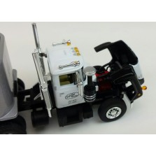 Troy's Toys Exclusive First Gear Mack R Day Cab with Dump Trailer