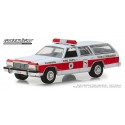 Greenlight Hobby Exclusive - 1985 Ford LTD Crown Victoria Wagon