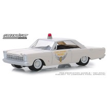 Greenlight Hot Pursuit Series 31 - 1965 Ford Custom