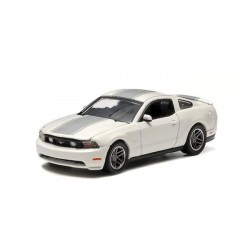 Anniversary Collection Series 1 - 2010 Ford Mustang GT