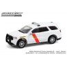 Greenlight Hobby Exclusive - 2018 Dodge Durango New Jersey State Forest Fire Service