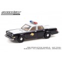 Greenlight Hobby Exclusive - 1981 Dodge Diplomat Texas Department of Public Safety