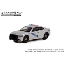 Greenlight Hot Pursuit Series 41 - 2019 Dodge Charger