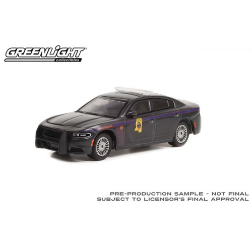 Greenlight Hot Pursuit Series 42 - 2020 Dodge Charger