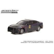 Greenlight Hot Pursuit Series 42 - 2020 Dodge Charger